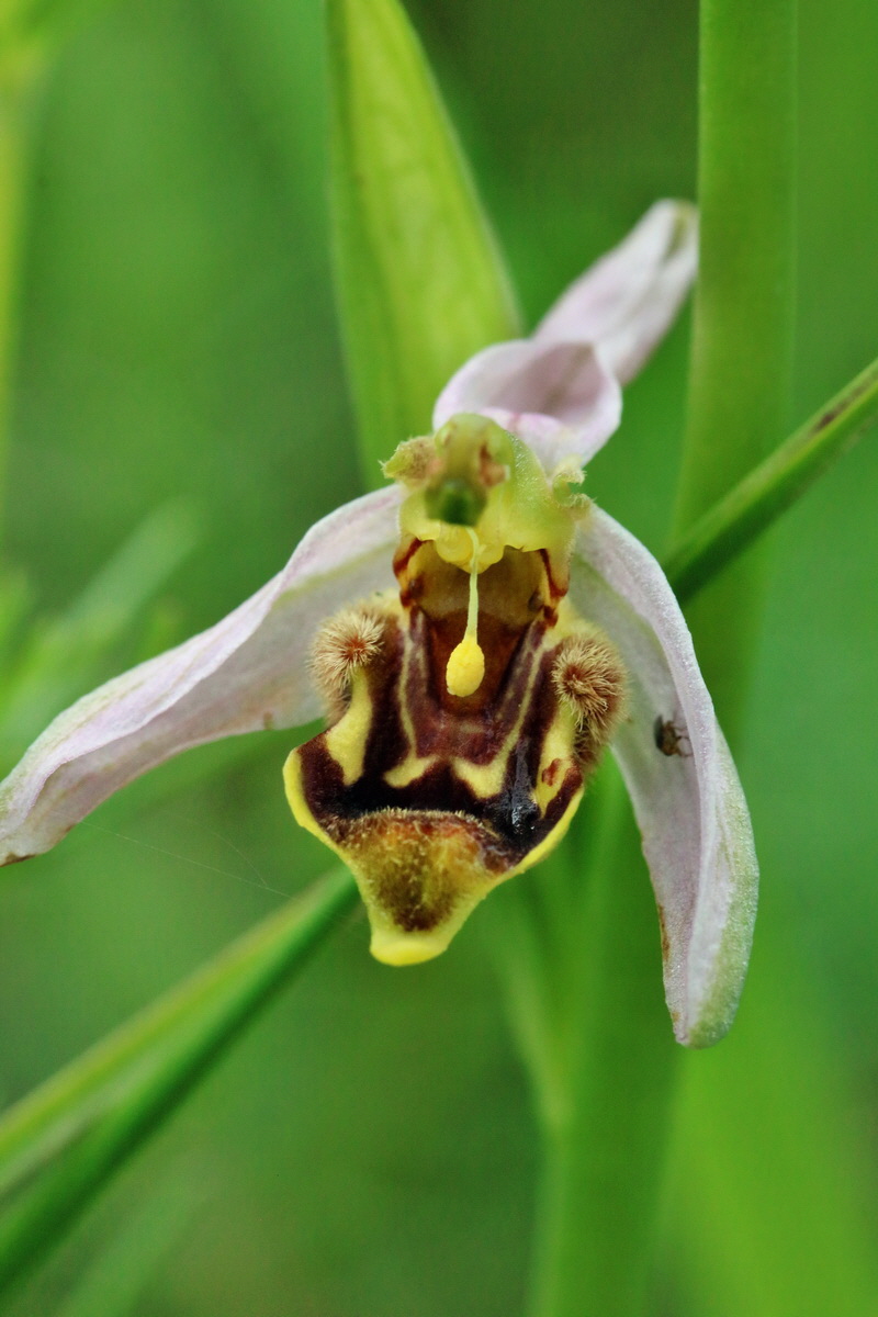 RNA_2017_06_03_8324p_Bildgr��e �ndern