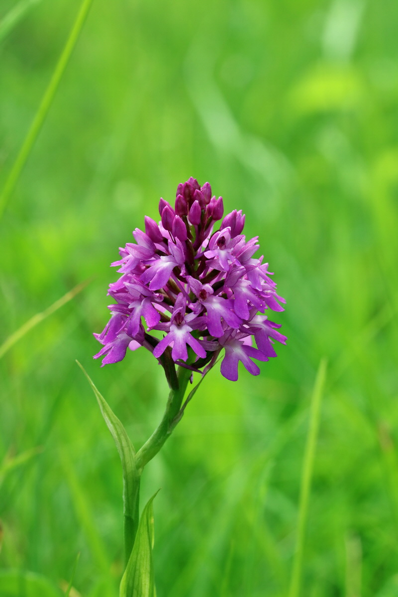 2017_06_05_034633p_Bildgr��e �ndern