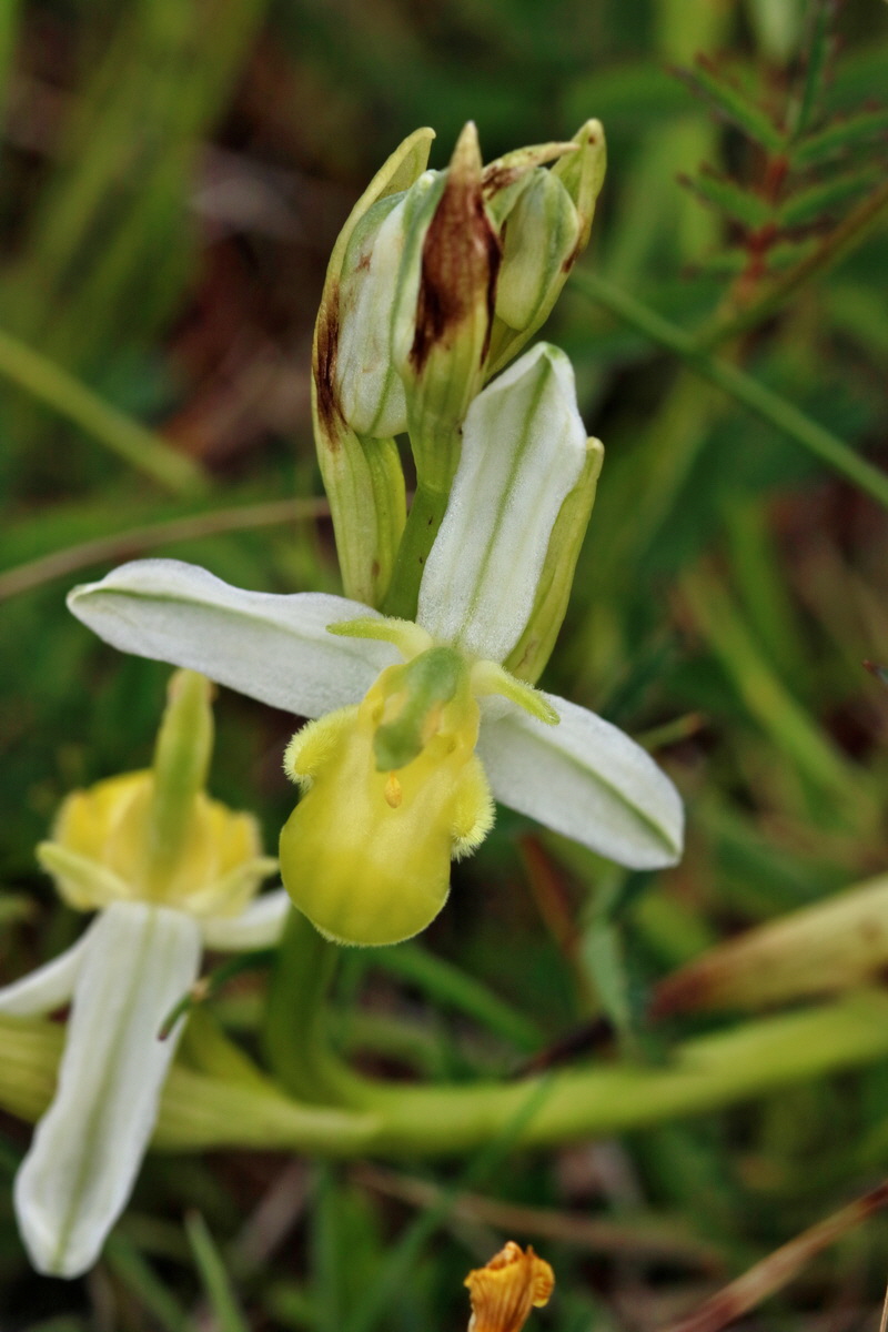 2017_06_05_034657p_Bildgr��e �ndern