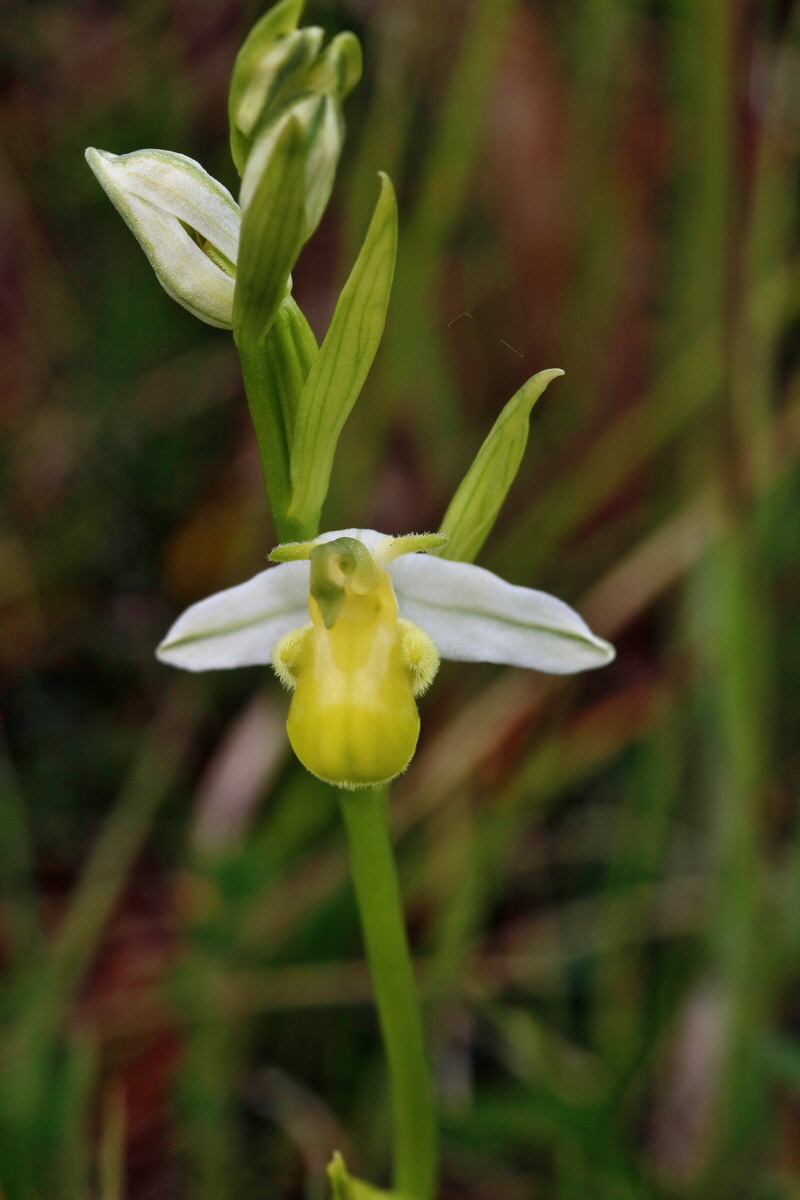 2017_06_05_034660p_Bildgr��e �ndern