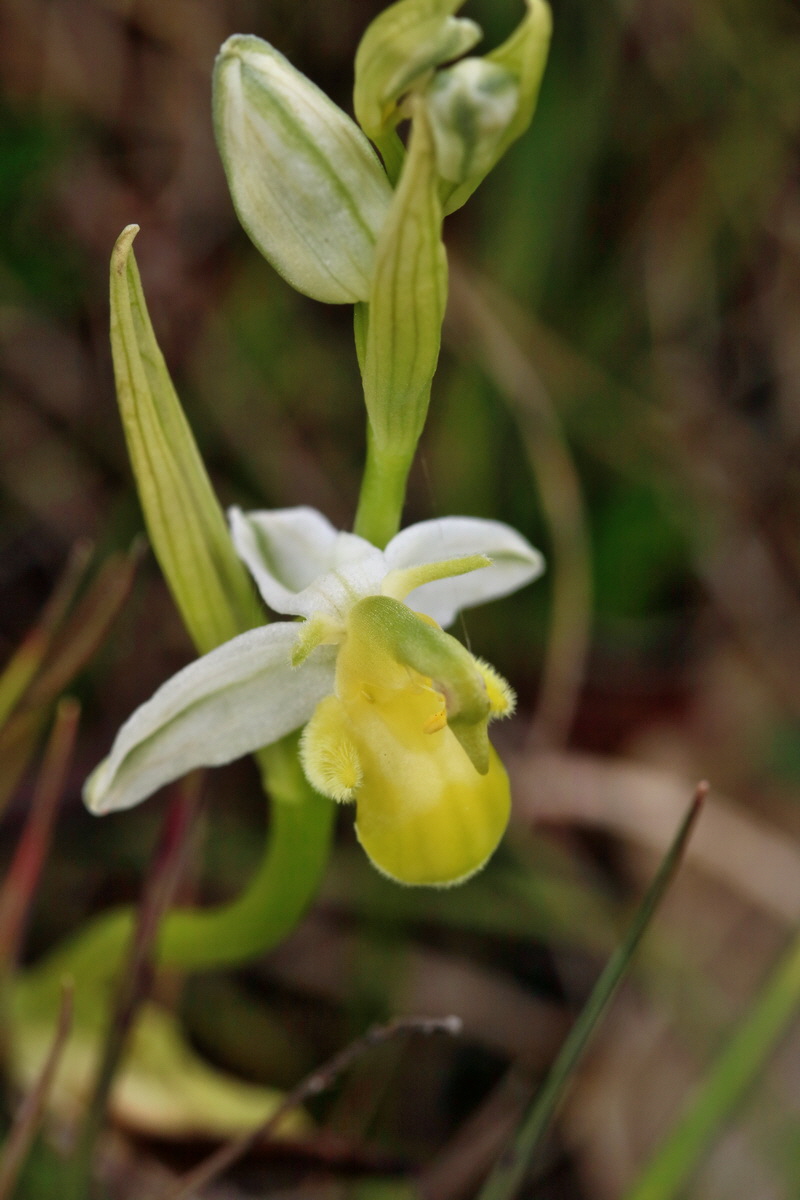 2017_06_05_034664p_Bildgr��e �ndern