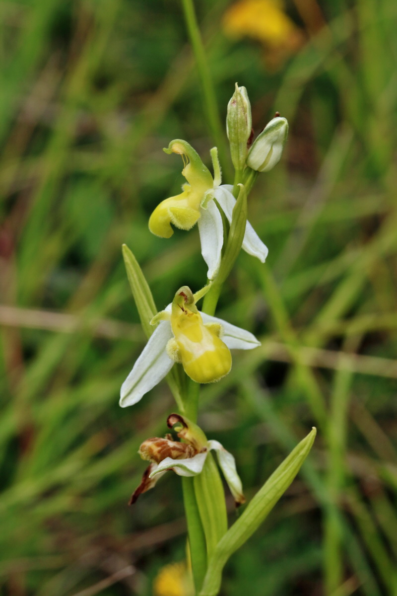 2017_06_05_034671p_Bildgr��e �ndern