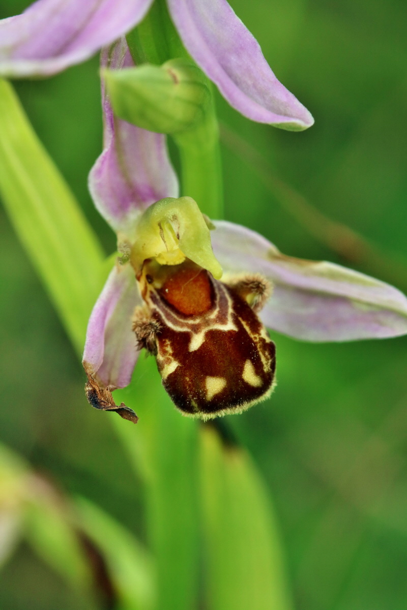 2017_06_05_034680p_Bildgr��e �ndern