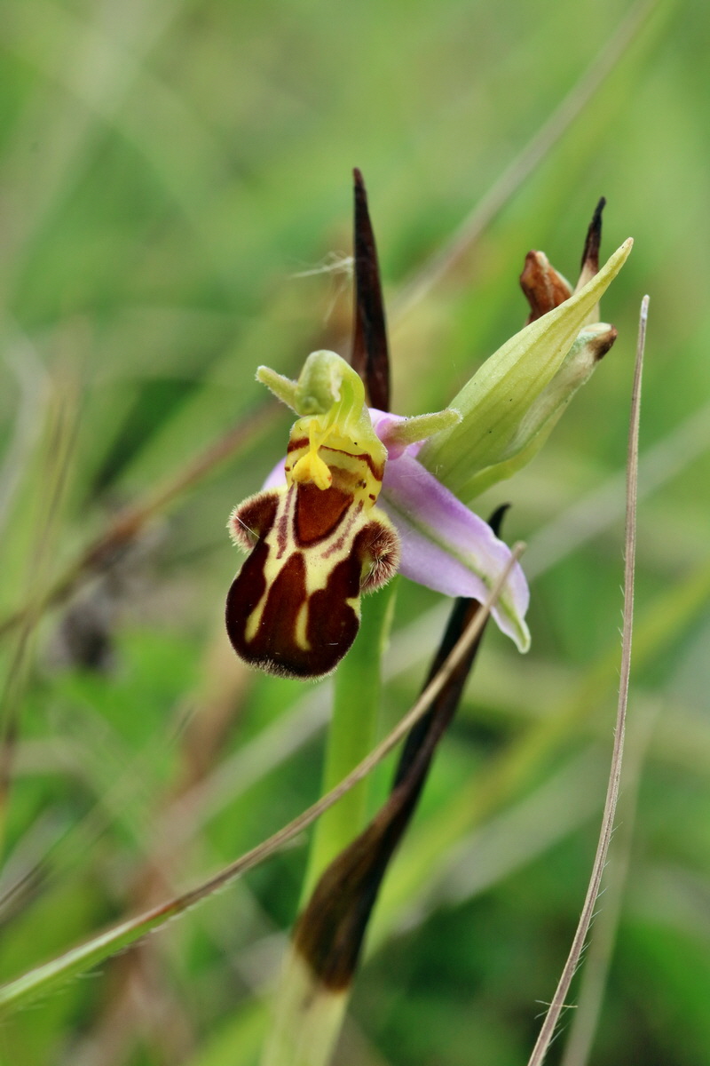 2017_06_05_034690p_Bildgr��e �ndern