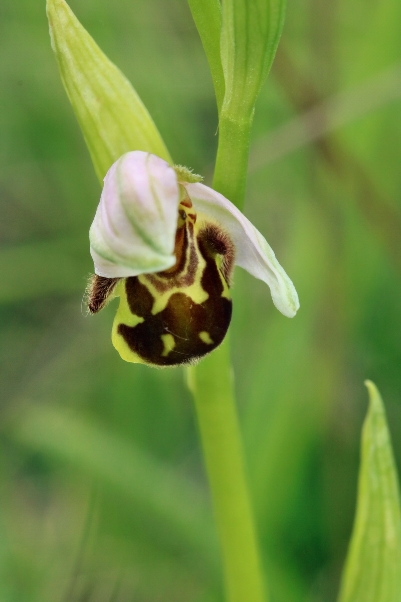 2017_06_05_034696p_Bildgr��e �ndern