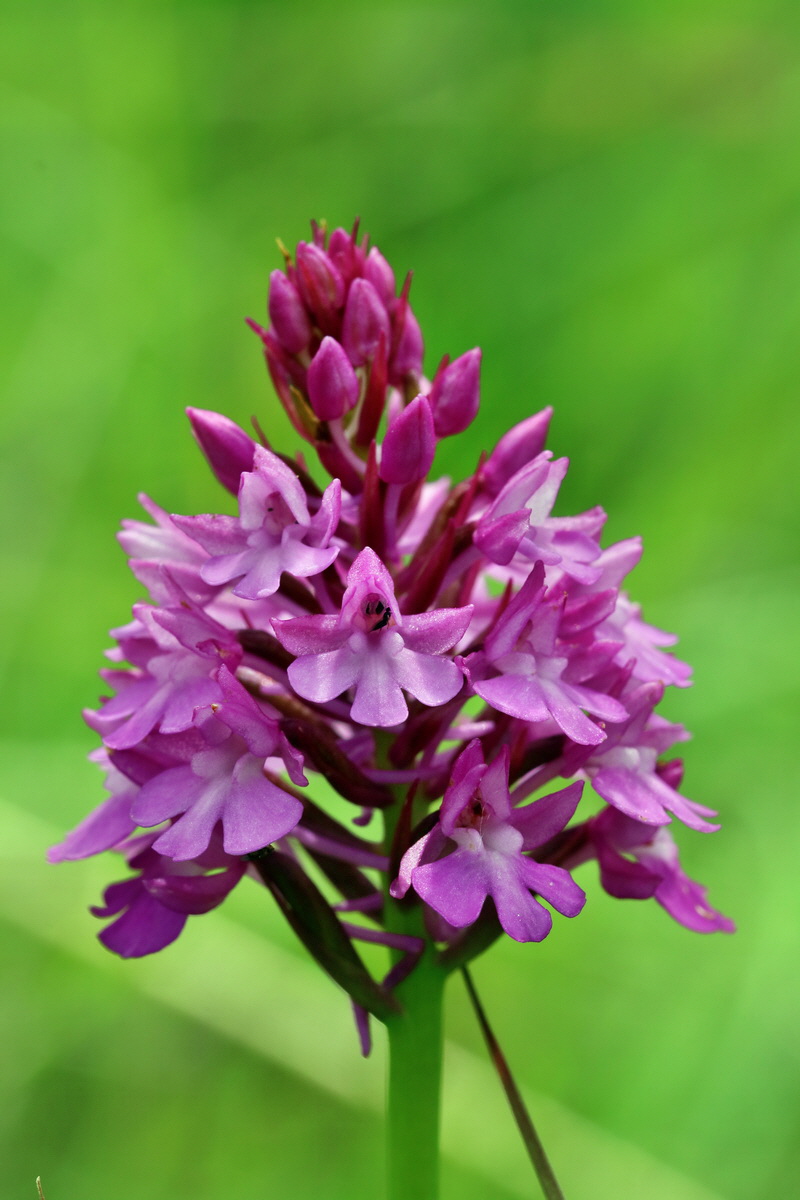 2017_06_05_034704p_Bildgr��e �ndern