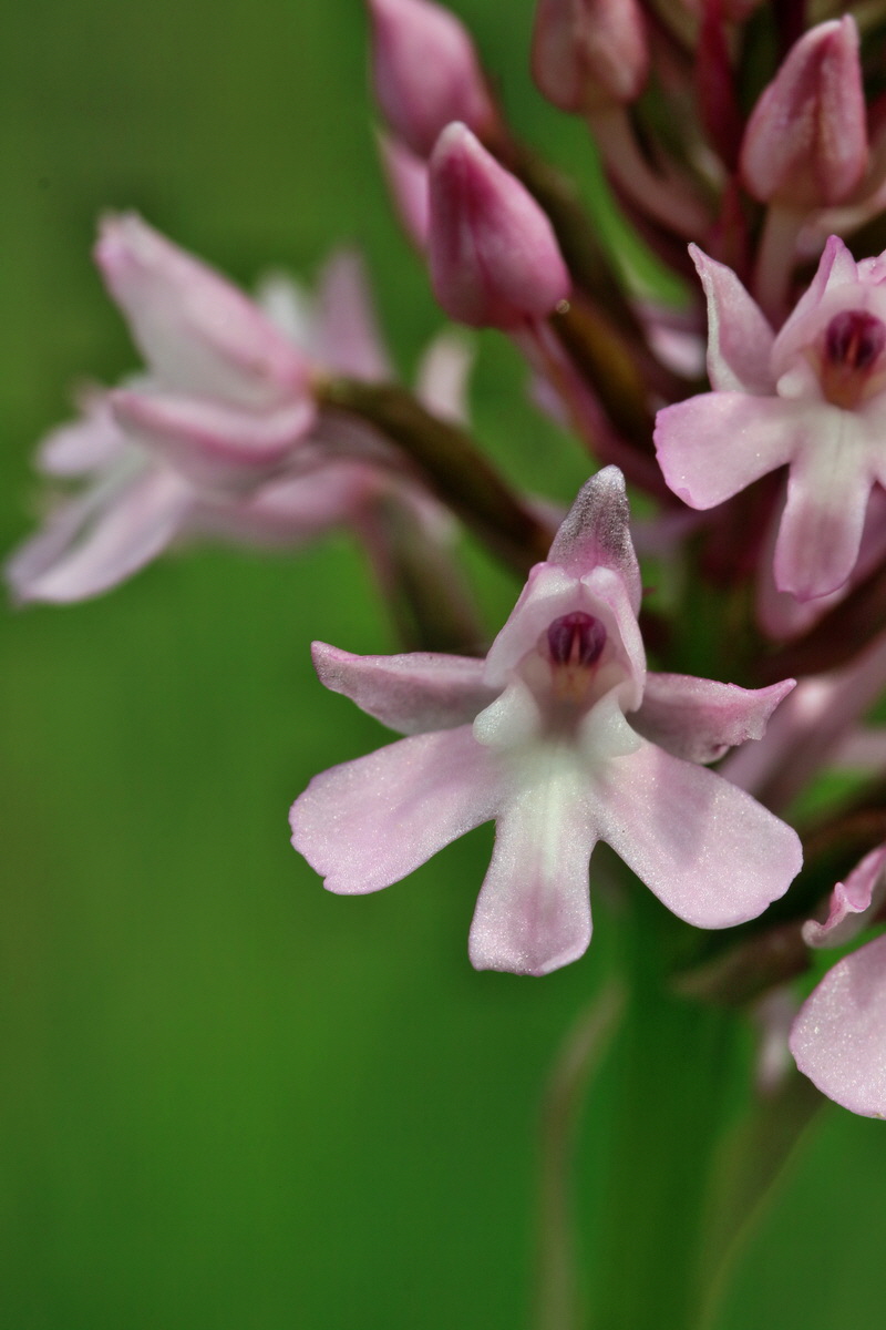 2017_06_05_034709p_Bildgr��e �ndern