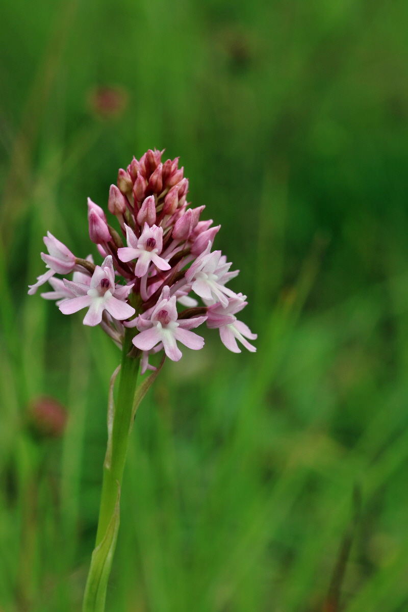 2017_06_05_034715p_Bildgr��e �ndern