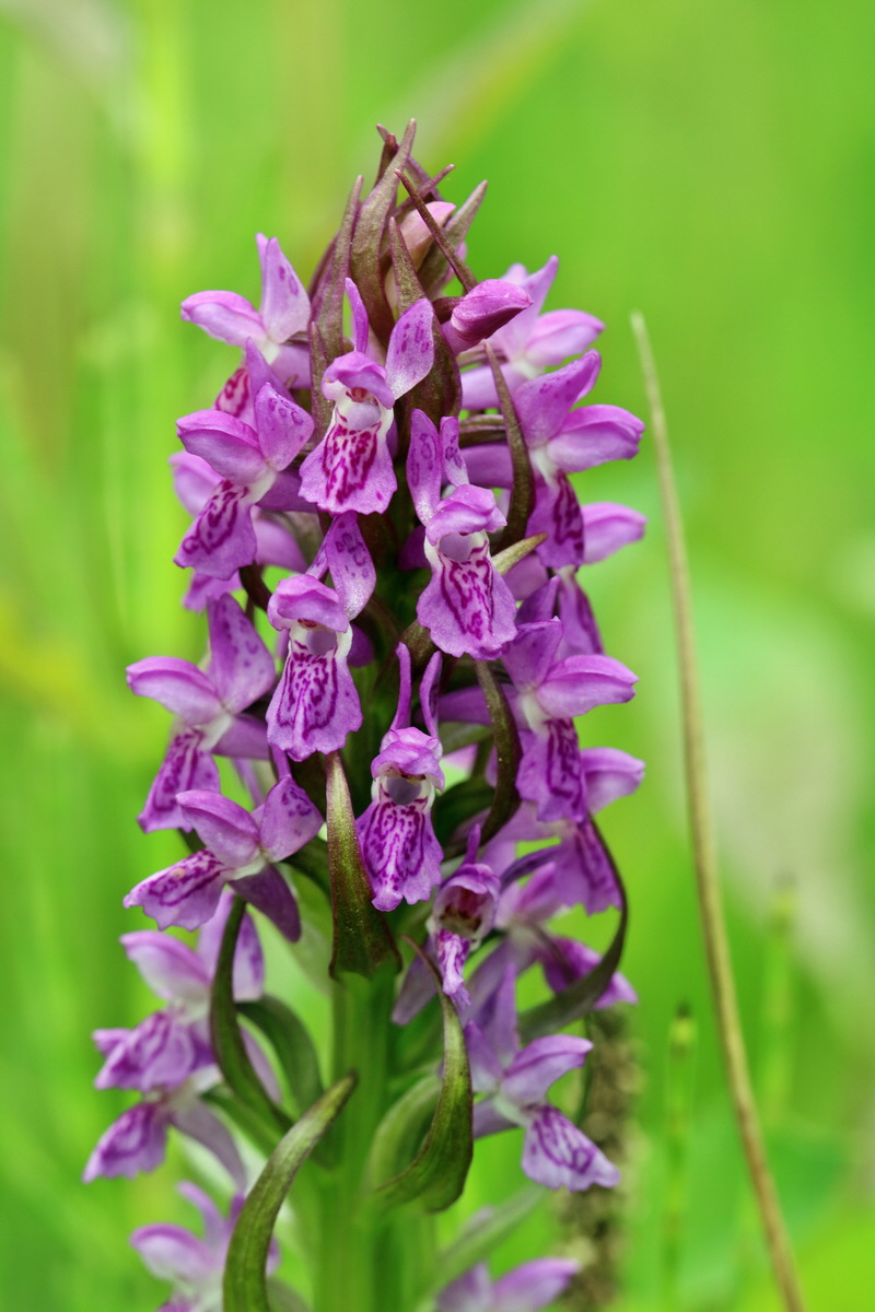 RNA_2017_06_08_8424p_Bildgr��e �ndern