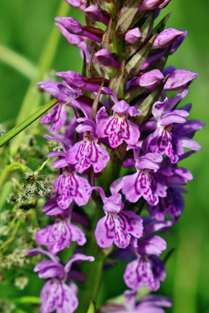 RNA_2017_06_08_8574p_Bildgr��e �ndern