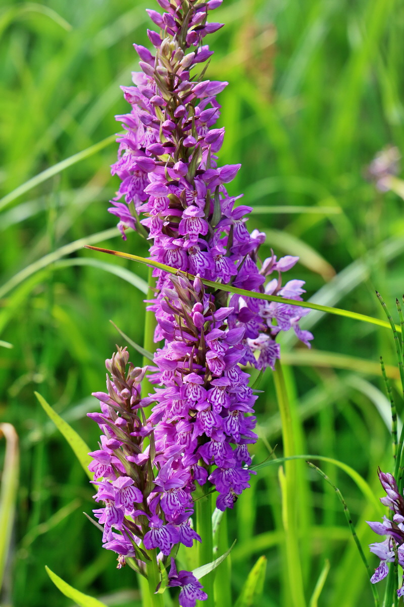 RNA_2017_06_08_8717p_Bildgr��e �ndern