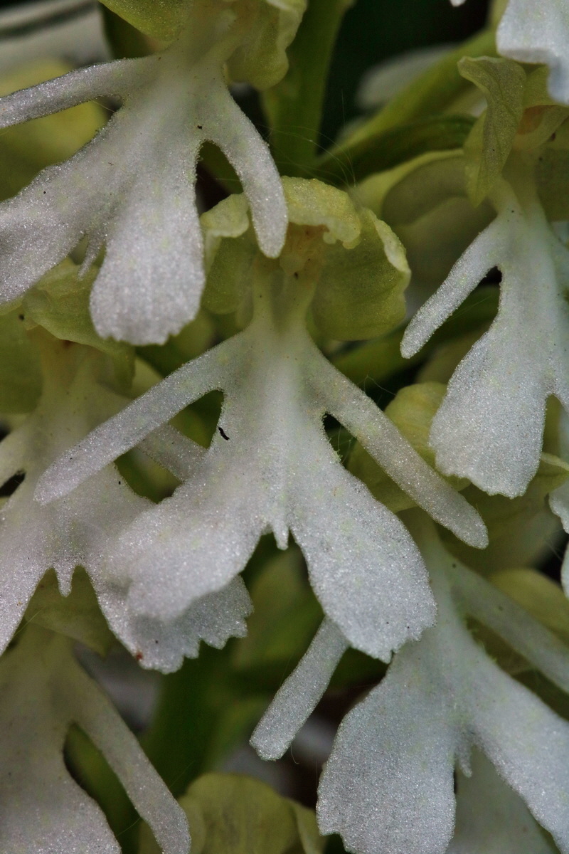 RNA_2017_05_18_5533p_Bildgr��e �ndern