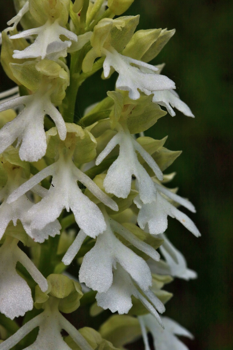 RNA_2017_05_18_5543p_Bildgr��e �ndern