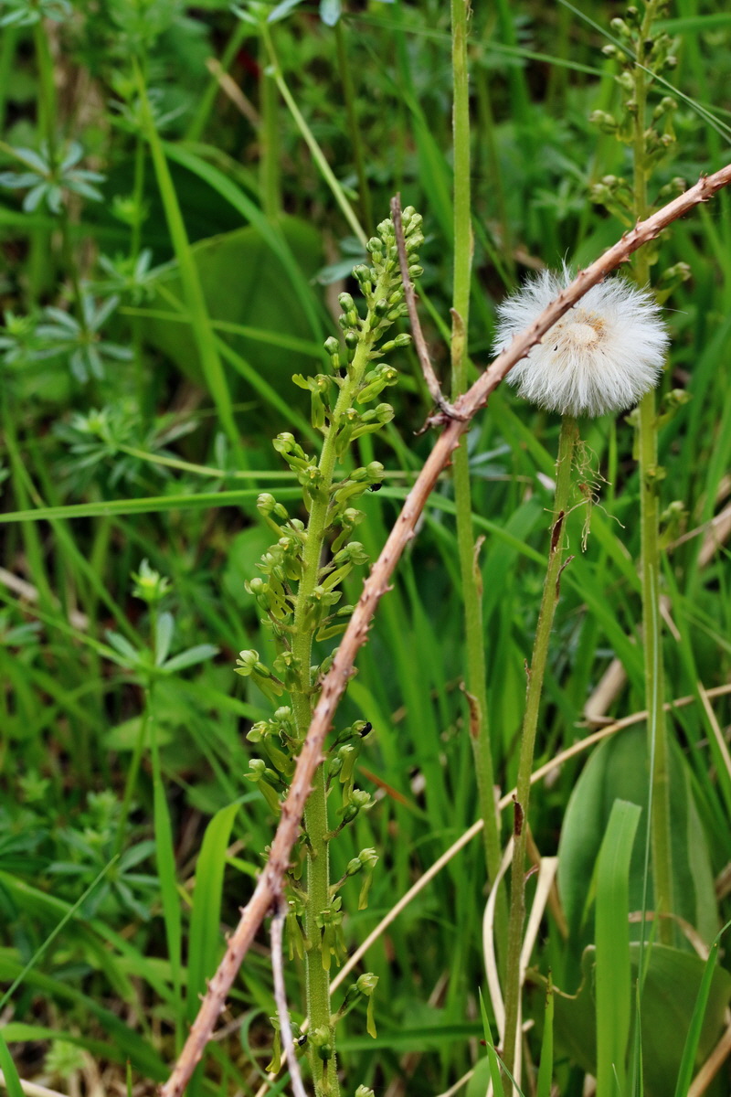 RNA_2017_05_18_5552p_Bildgr��e �ndern