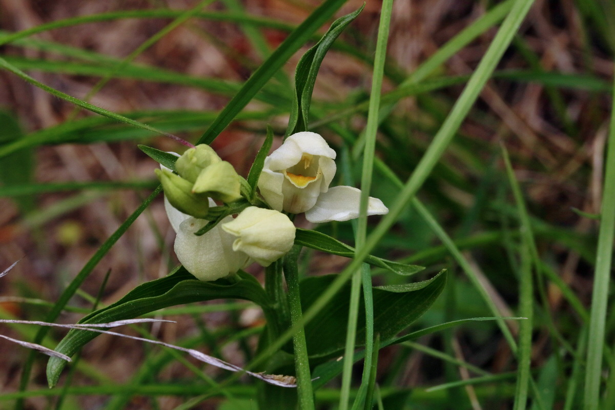 RNA_2017_05_18_5569p_Bildgr��e �ndern