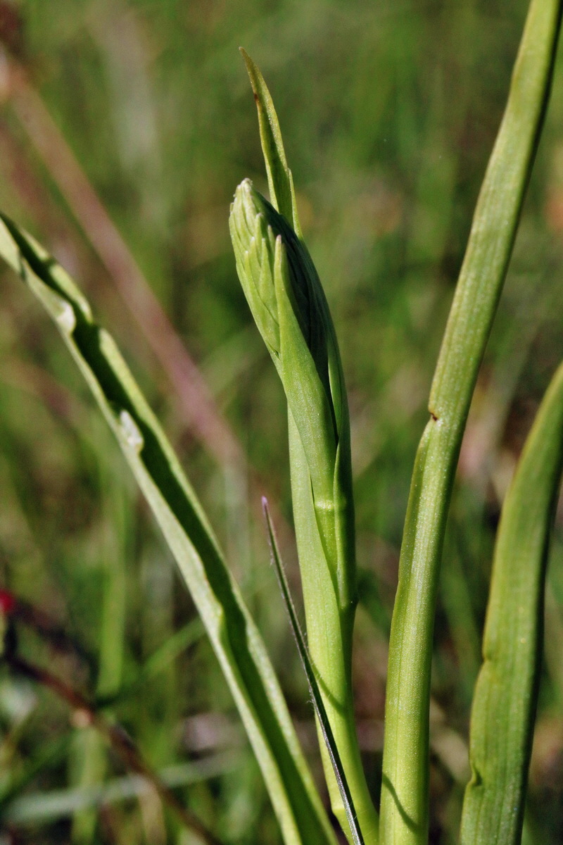 RNA_2017_05_18_4841p_Bildgr��e �ndern