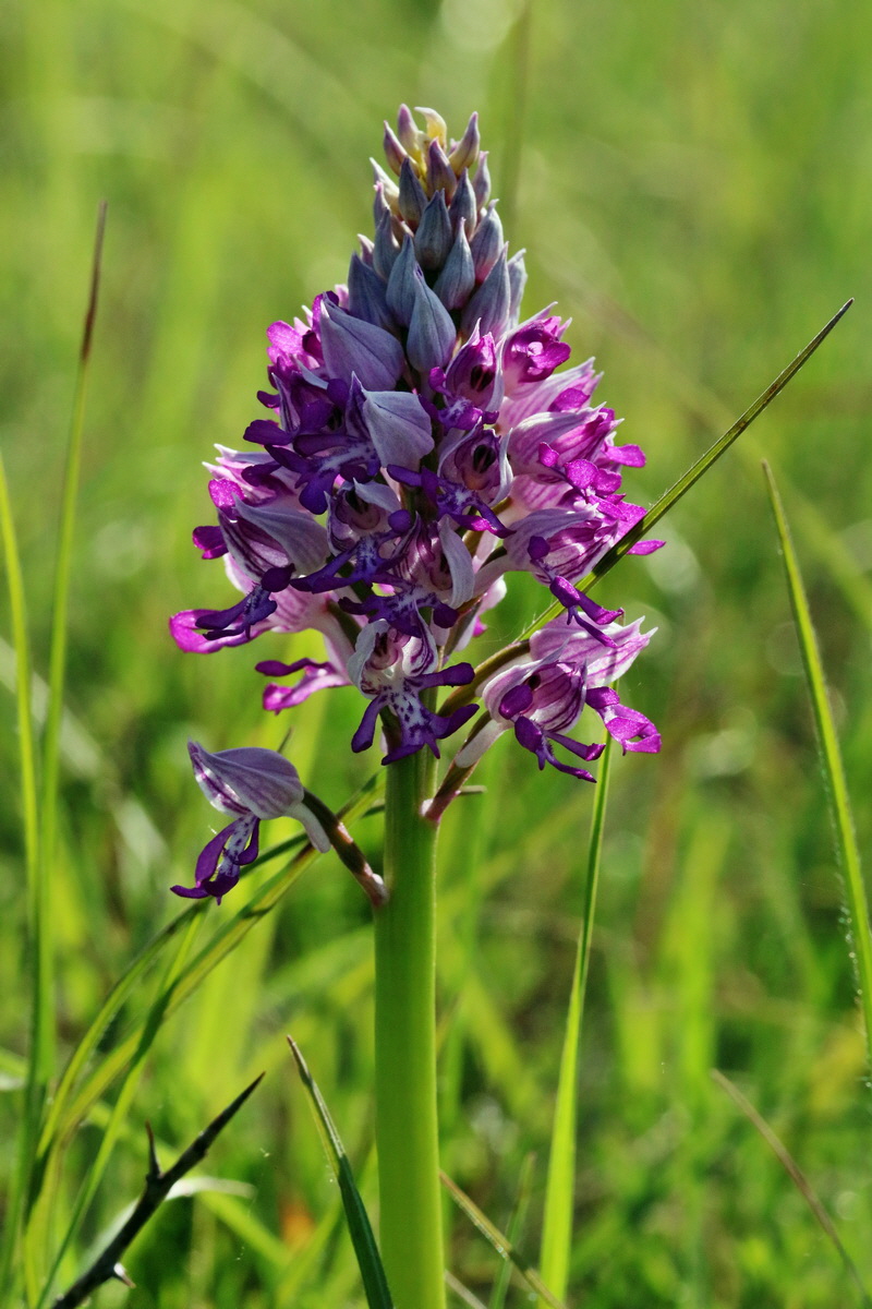 RNA_2017_05_18_4847p_Bildgr��e �ndern