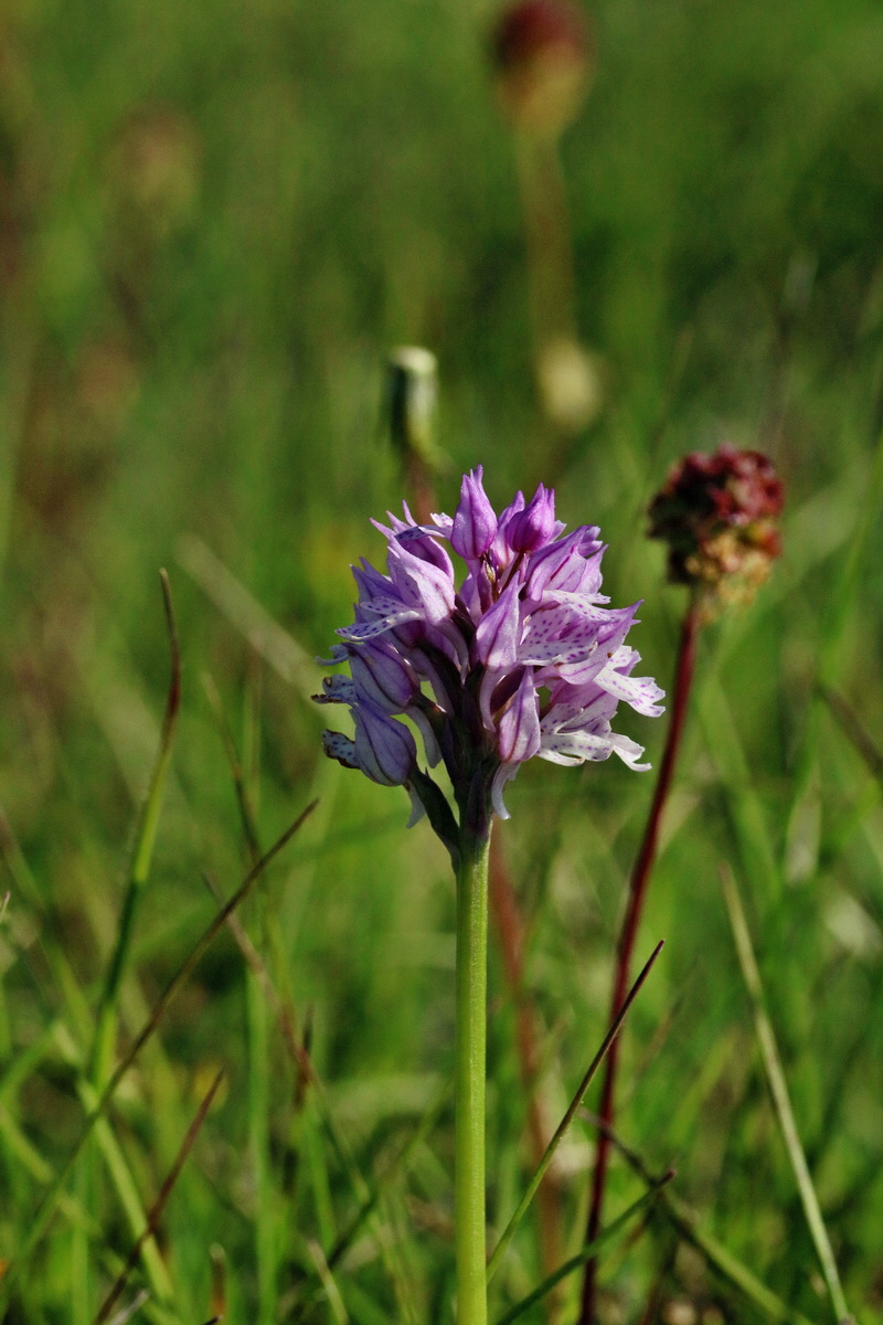 RNA_2017_05_18_4859p_Bildgr��e �ndern