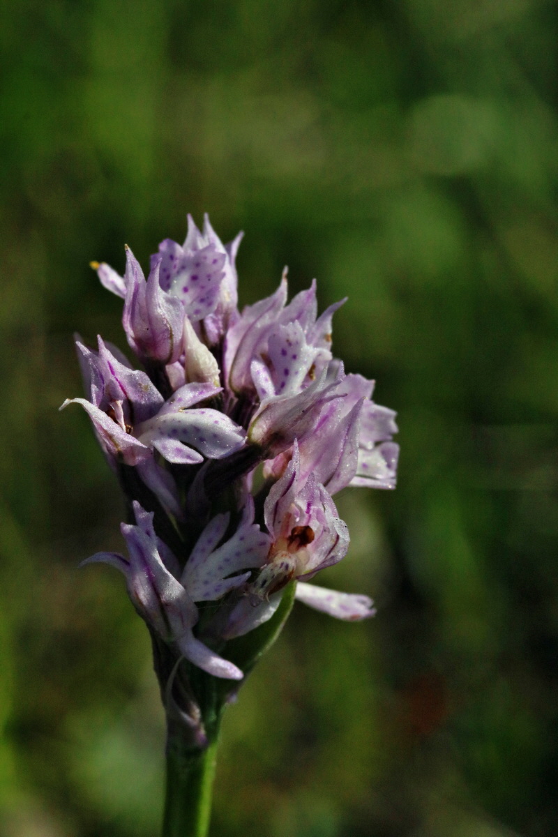 RNA_2017_05_18_4877p_Bildgr��e �ndern