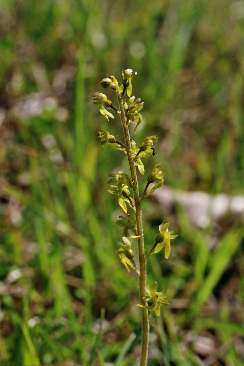 RNA_2017_05_18_4913p_Bildgr��e �ndern