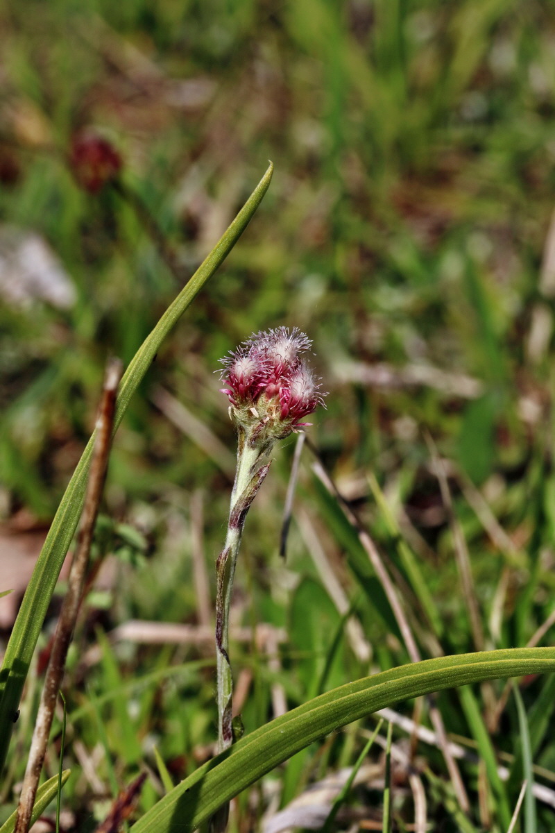 RNA_2017_05_18_4924p_Bildgr��e �ndern