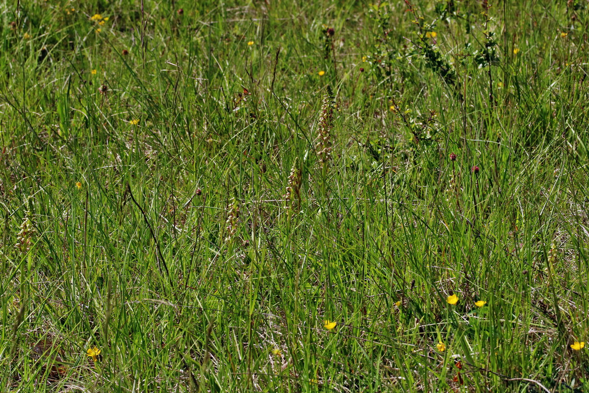 RNA_2017_05_18_4931p_Bildgr��e �ndern