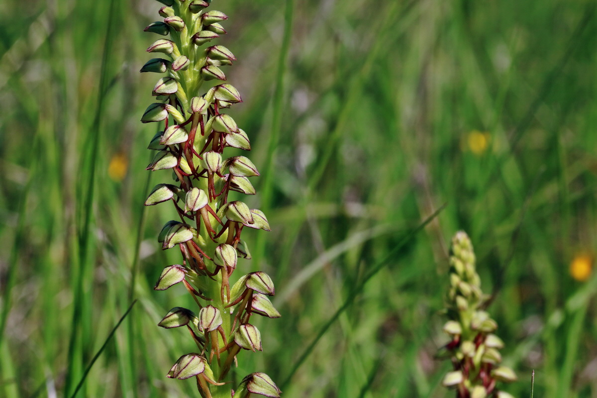 RNA_2017_05_18_4937p_Bildgr��e �ndern