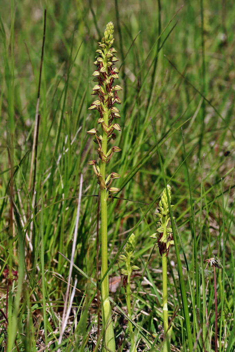 RNA_2017_05_18_4949p_Bildgr��e �ndern