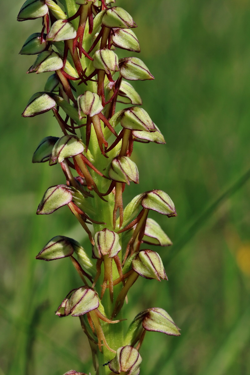 RNA_2017_05_18_4956p_Bildgr��e �ndern