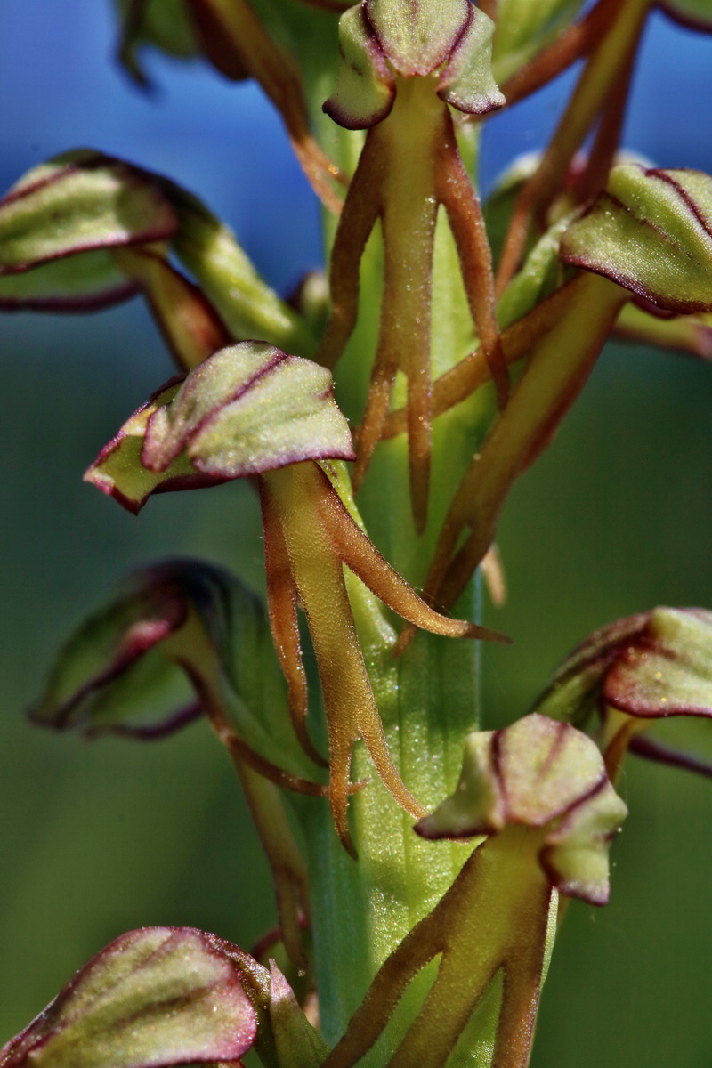 RNA_2017_05_18_4961p_Bildgr��e �ndern