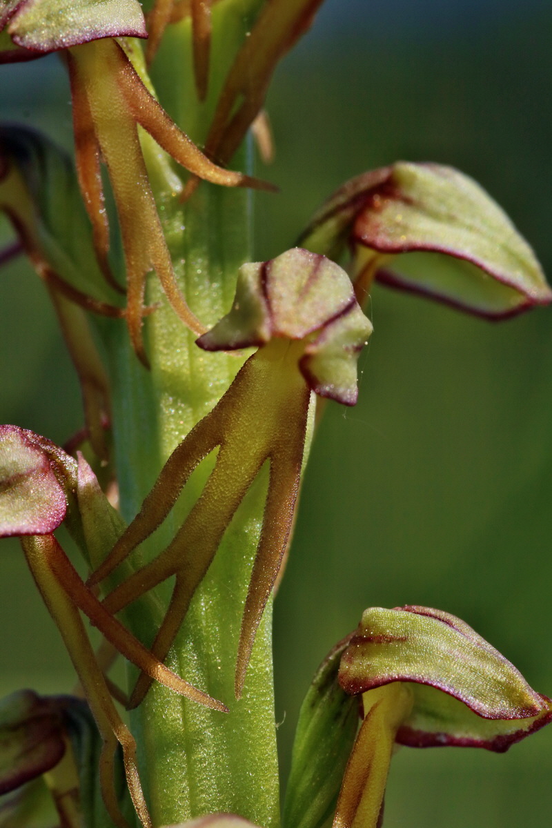 RNA_2017_05_18_4962p_Bildgr��e �ndern