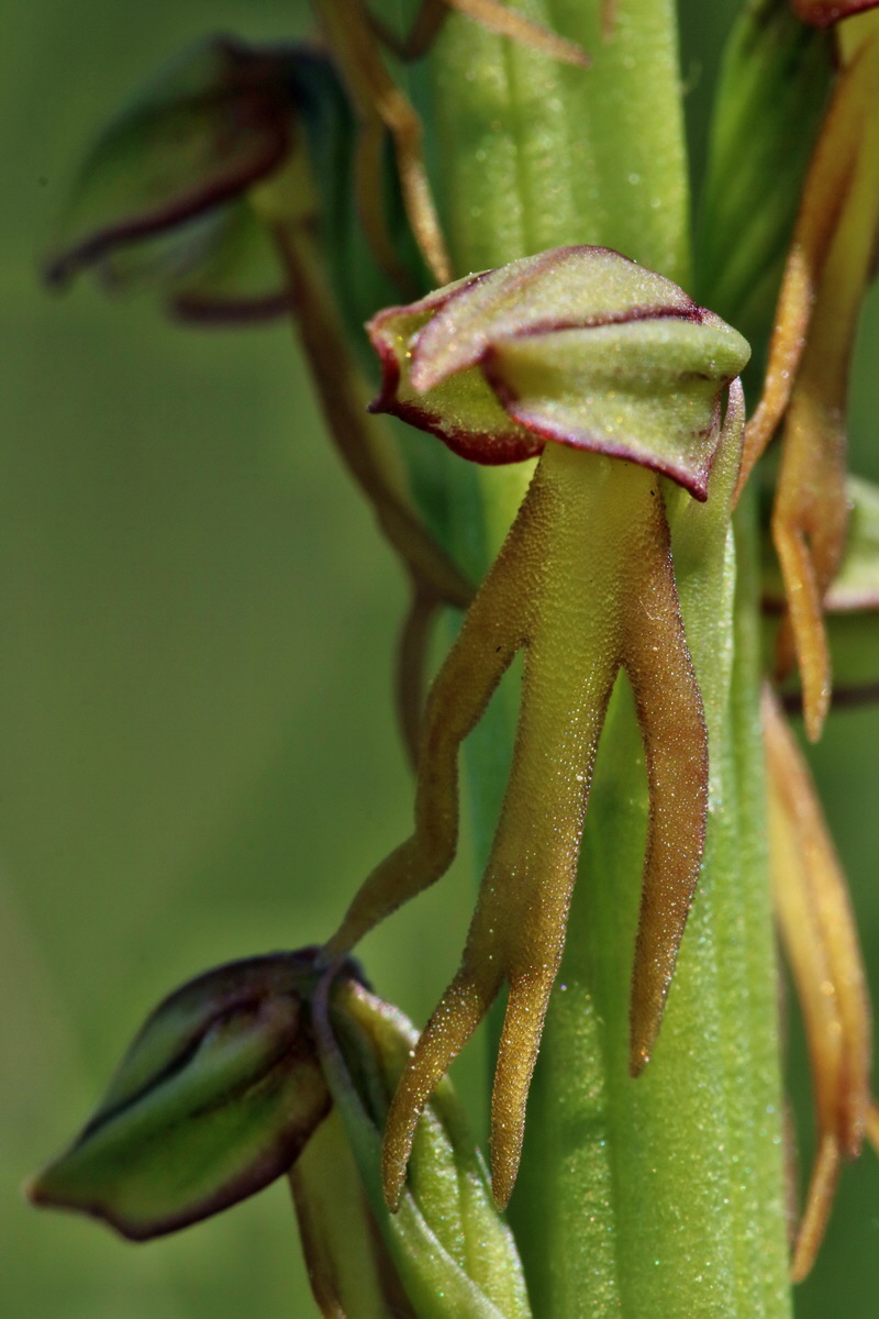 RNA_2017_05_18_4967p_Bildgr��e �ndern