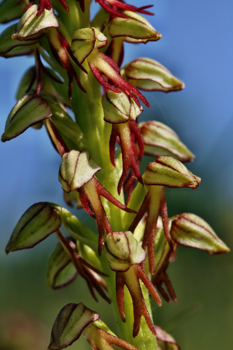 RNA_2017_05_18_4992p_Bildgr��e �ndern