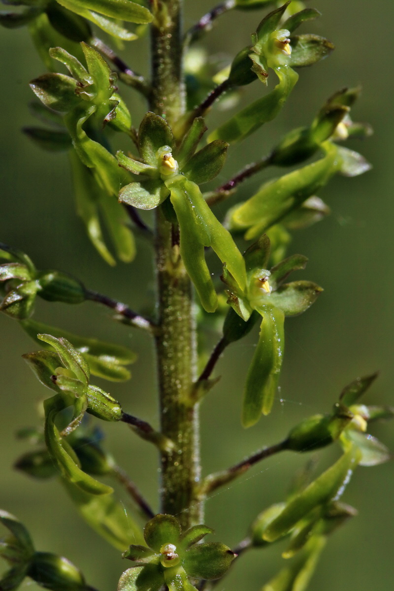 RNA_2017_05_18_5030p_Bildgr��e �ndern