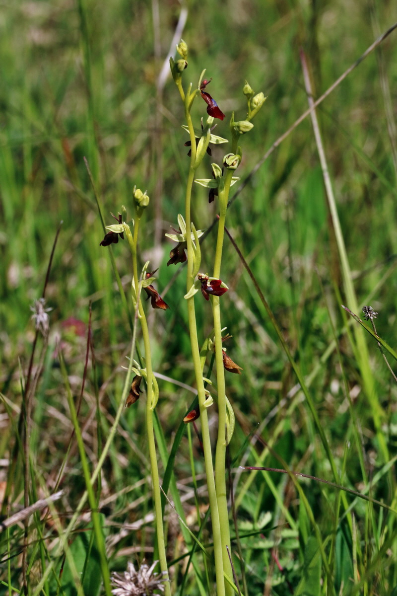 RNA_2017_05_18_5040p_Bildgr��e �ndern