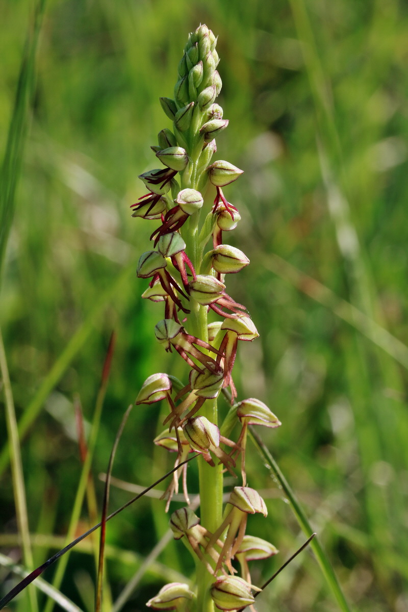 RNA_2017_05_18_5109p_Bildgr��e �ndern