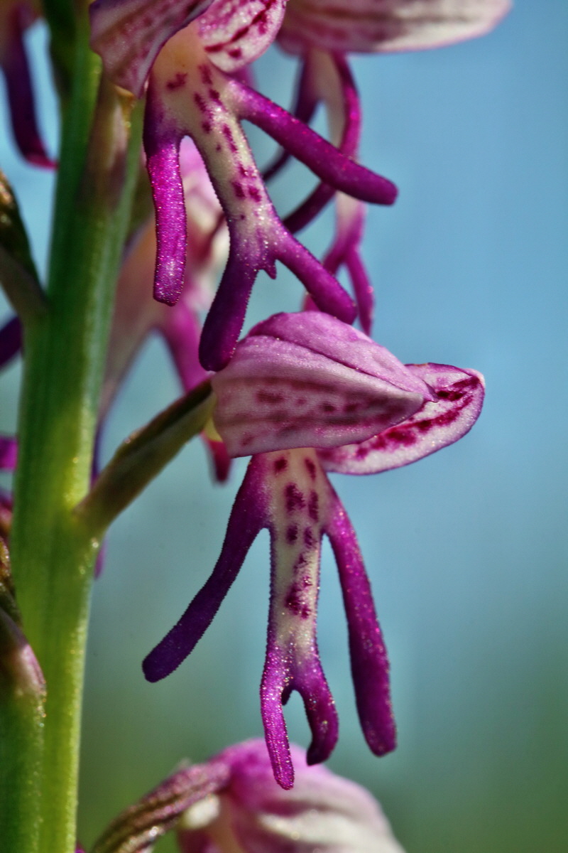 RNA_2017_05_18_5237p_Bildgr��e �ndern