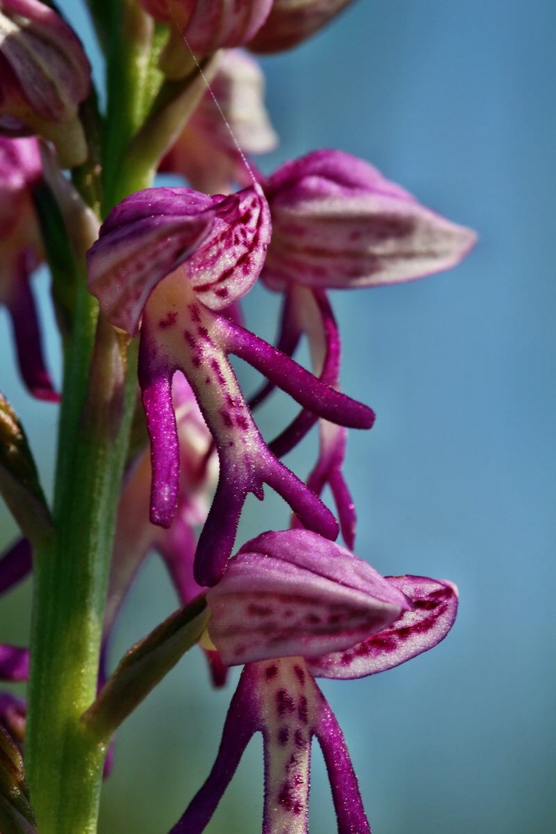 RNA_2017_05_18_5240p_Bildgr��e �ndern