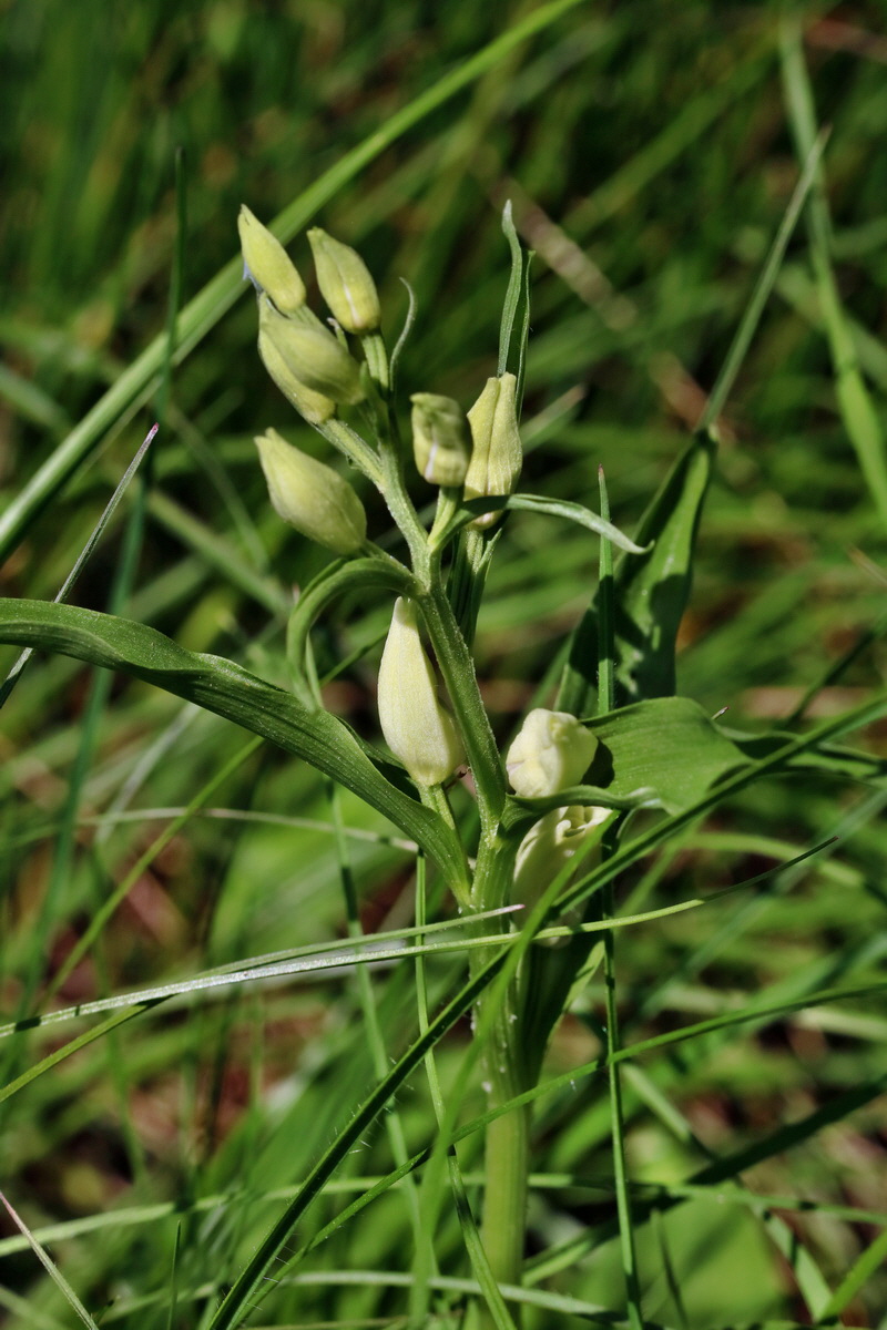 RNA_2017_05_18_5256p_Bildgr��e �ndern