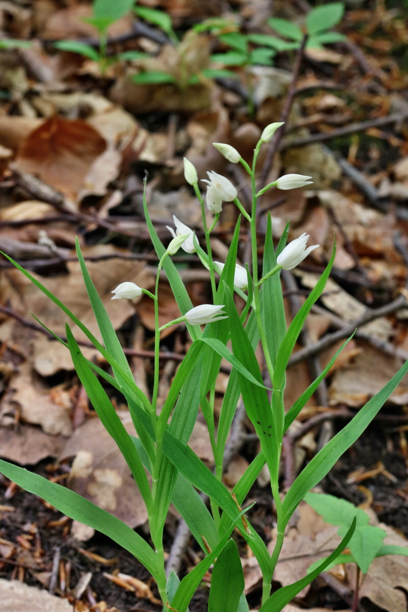 RNA_2017_05_18_5583p_Bildgr��e �ndern