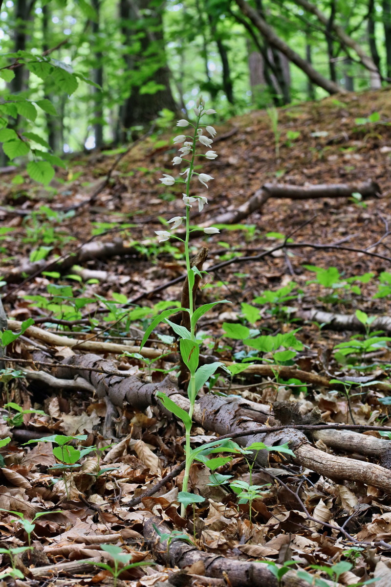 RNA_2017_05_18_5587p_Bildgr��e �ndern