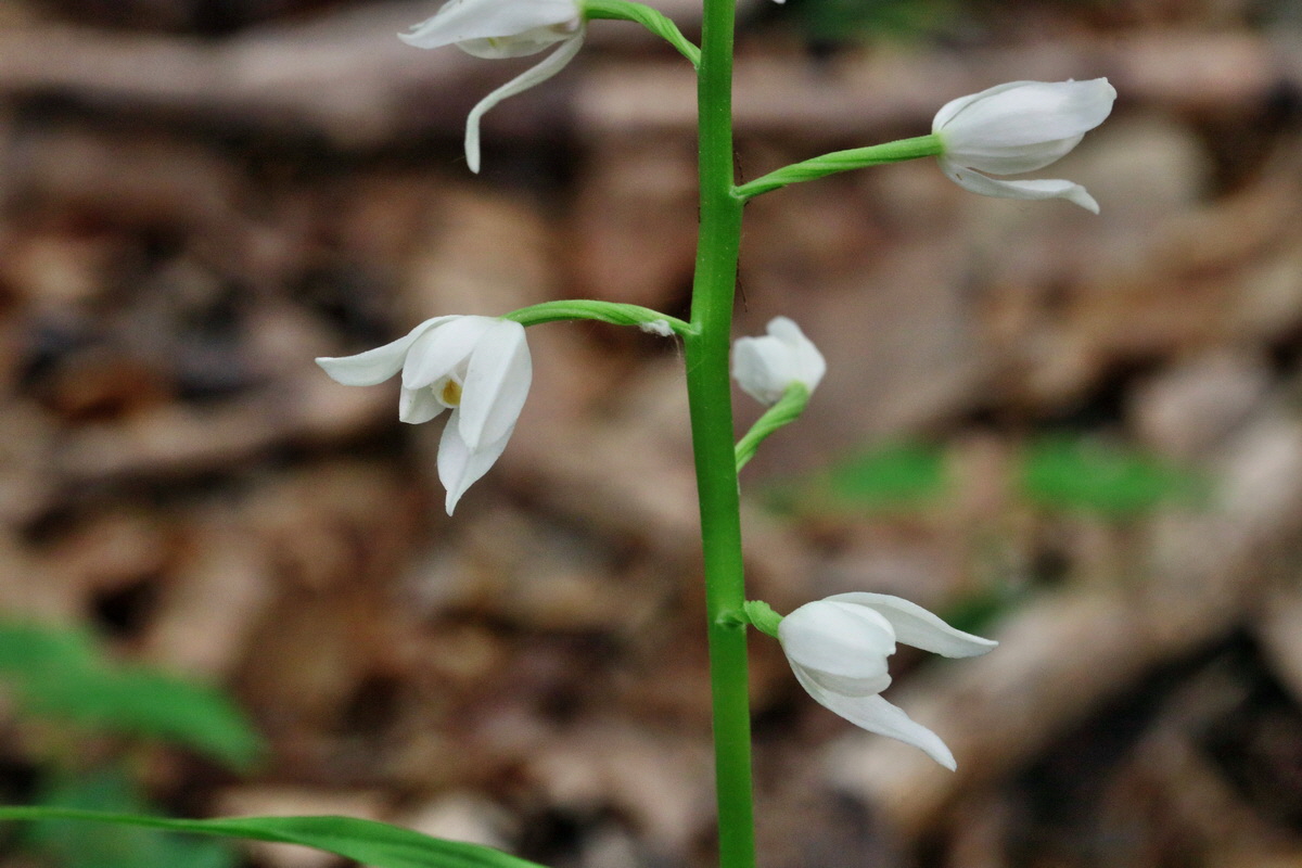 RNA_2017_05_18_5602p_Bildgr��e �ndern