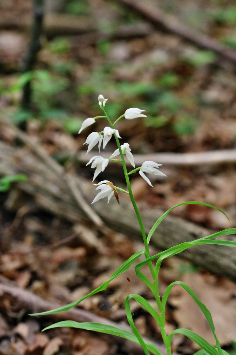 RNA_2017_05_18_5636p_Bildgr��e �ndern