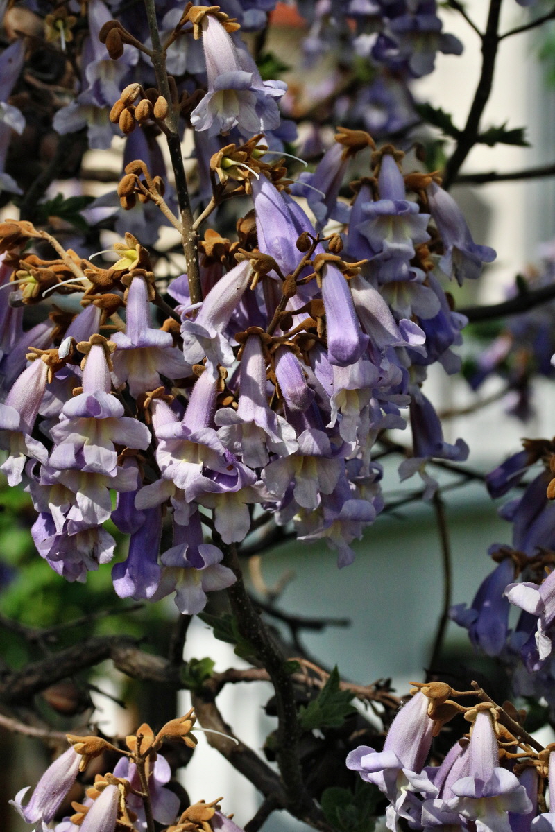 RNA_2017_05_18_5682p_Bildgr��e �ndern