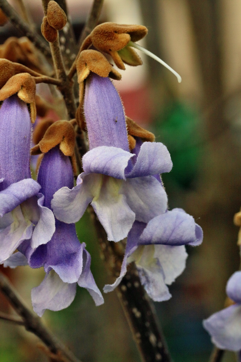 RNA_2017_05_18_5686p_Bildgr��e �ndern