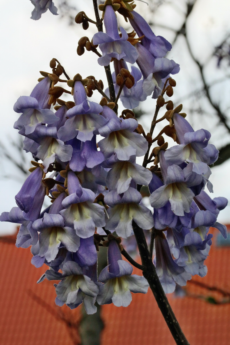 RNA_2017_05_18_5693p_Bildgr��e �ndern