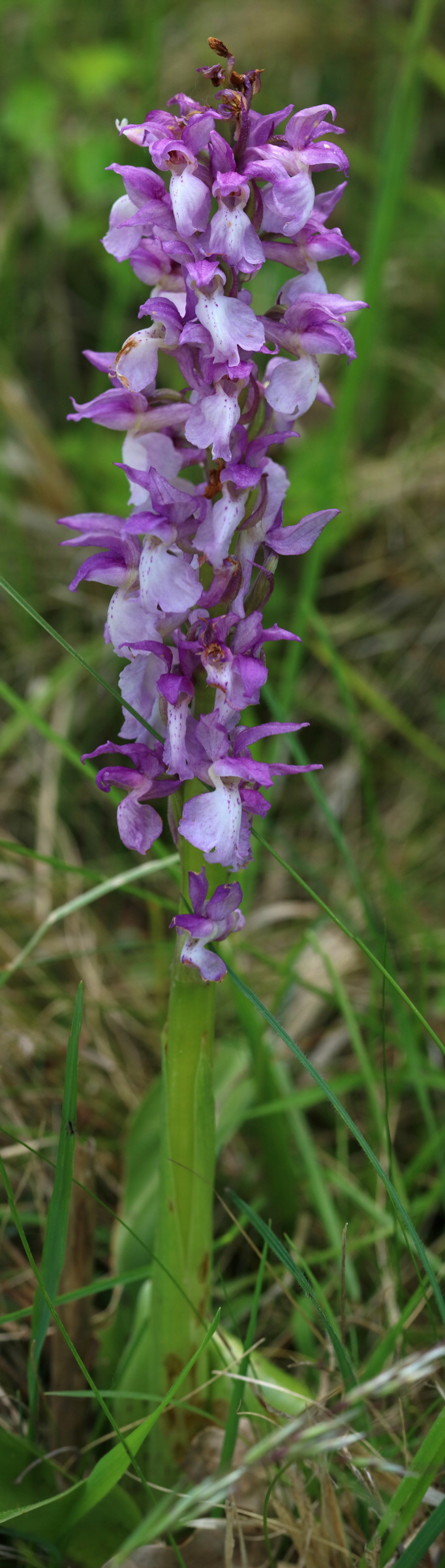 [Group 2]-RNA_2017_05_18_5303_RNA_2017_05_18_5322-20 images_Bildgr��e �ndern