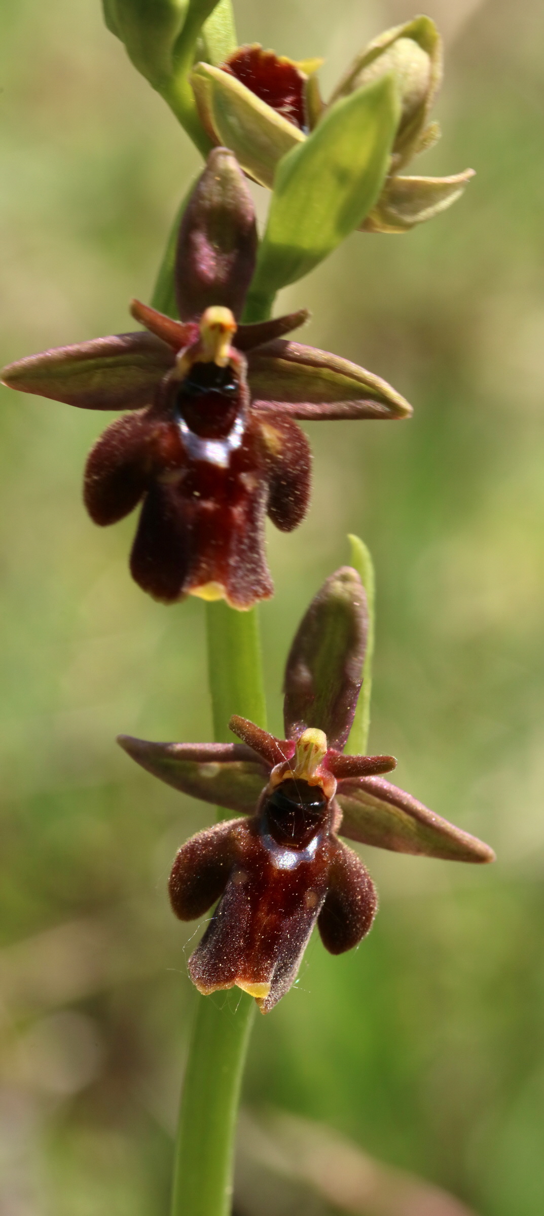 [Group 2]-RNA_2017_05_18_5377_RNA_2017_05_18_5382-6 images_Bildgr��e �ndern