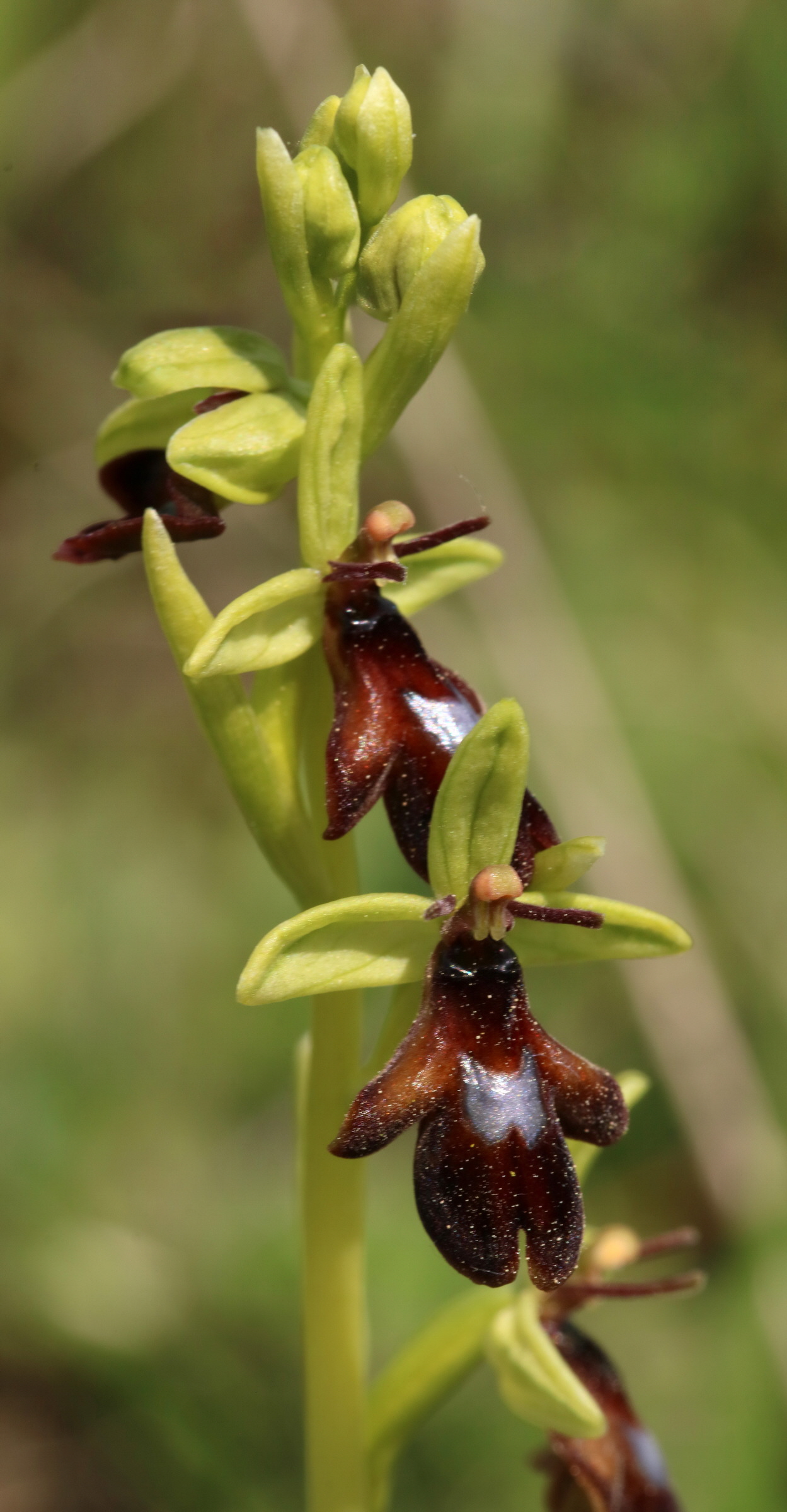 [Group 2]-RNA_2017_05_18_5476_RNA_2017_05_18_5481-6 images_Bildgr��e �ndern