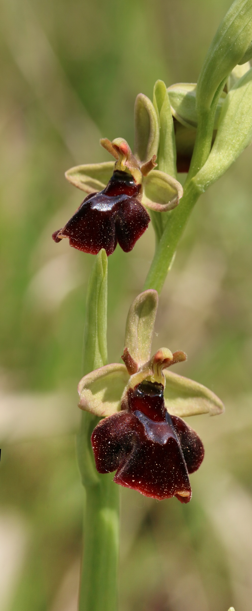 [Group 2]-RNA_2017_05_18_5482_RNA_2017_05_18_5487-6 images_Bildgr��e �ndern